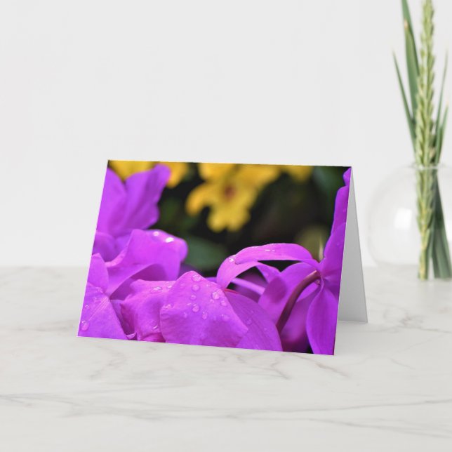 Trocas de chuva, cartão (Frente)