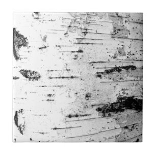 Tronco de passarinho