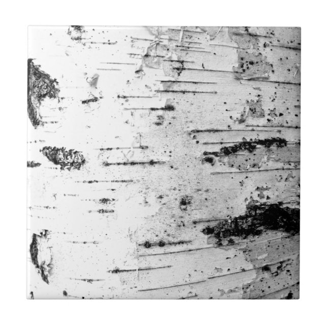 Tronco de passarinho (Frente)