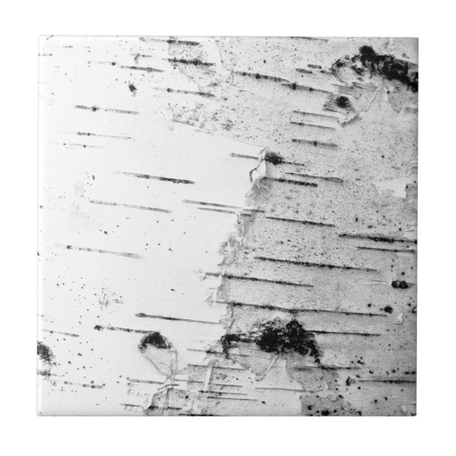 Tronco de passarinho (Frente)