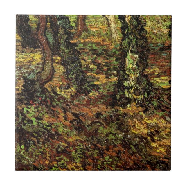 Troncos de Árvores com Hera por Vincent van Gogh (Frente)