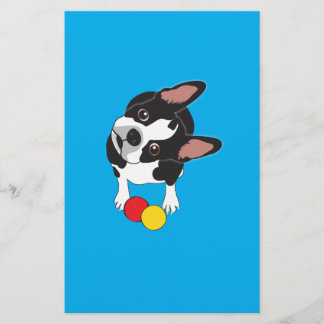 Trooper o Boston Terrier