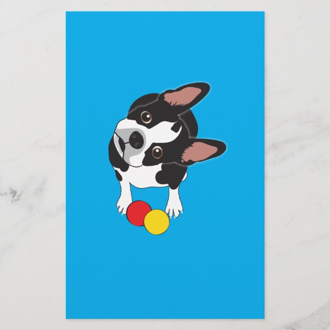 Trooper o Boston Terrier (Frente)