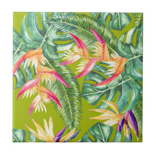 Tropical