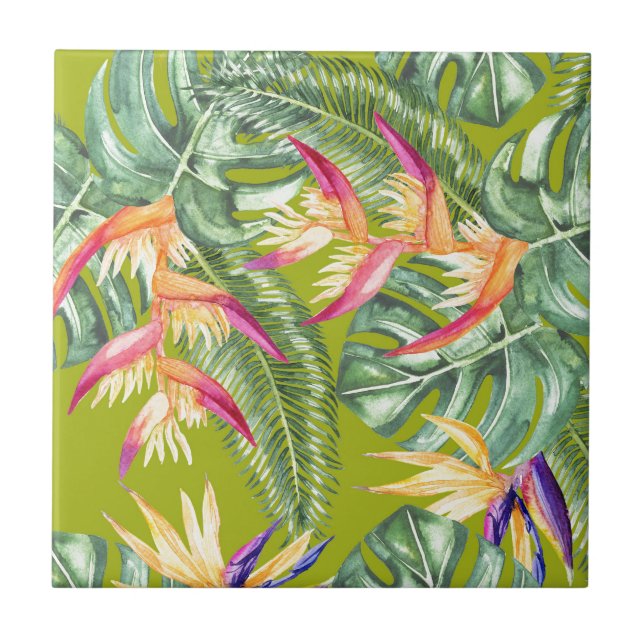 Tropical (Frente)