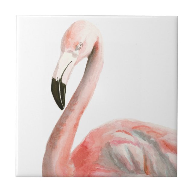 Tropical Flamingo Bird (Frente)
