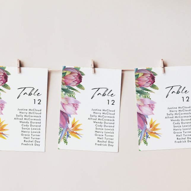 Tropical Floral Colorida | Gráfico de números de t (Criador carregado)