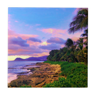 Tropical Hawaii Seashore Sunset