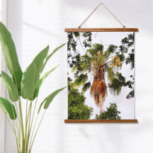 Tropical Palm Tree Botânica Fotográfica