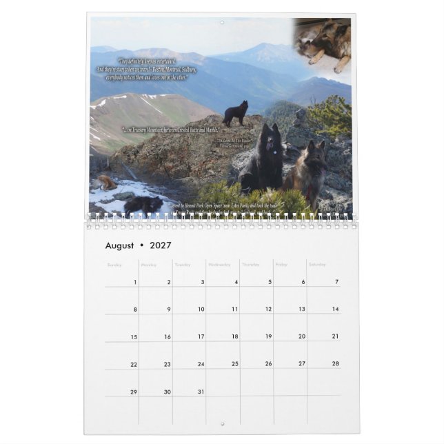 True Knight Tervurens - calendário de análises de  (Ago 2027)