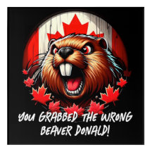 Trump canadense "Wrong Beaver Donald"