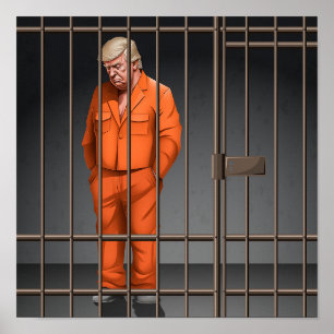 Trump in Jail Impressão, Value Poster Paper (Matte