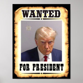Trump Queria O Presidente Poster