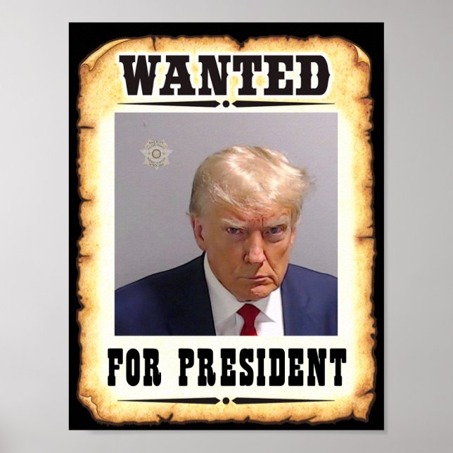 Trump Queria O Presidente Poster (Frente)