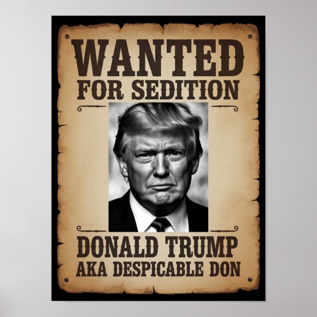 Trump Wanted Poster (Frente)