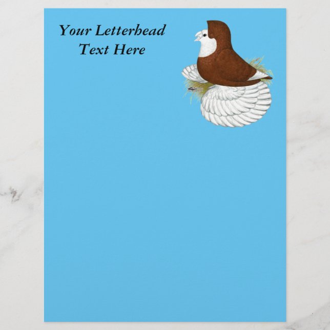Trumpeter Pigeon Red Baldhead (Frente)