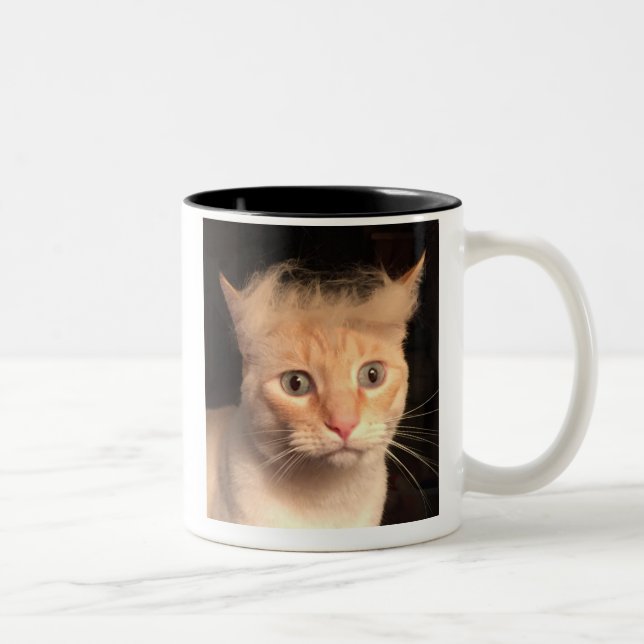 Trunfo sua caneca do gato (Direita)