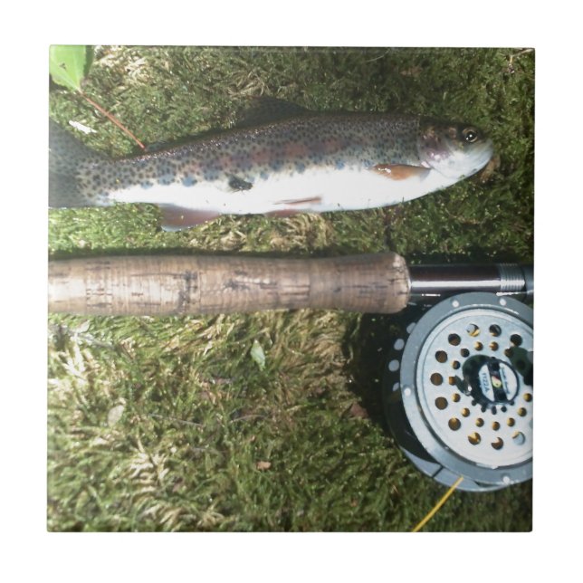 truta arco-íris e bobina de pesca voadora (Frente)