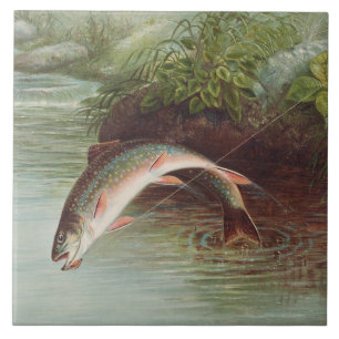 Truta Brook Pulando por Samuel Kilbourne (1874)