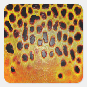 Truta de Brown - etiquetas