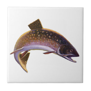Truta-de-riacho, Pescador de Esportes Vintage