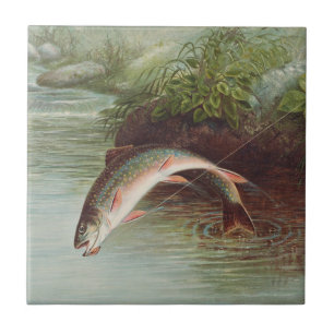 Truta-de-riacho Saltando por S.A. Kilbourne Peixe