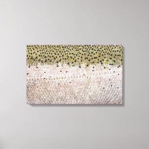 Truta prateada em canvas