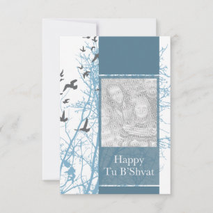 Tu B’Shvat! : estrela do cartão com fotos David