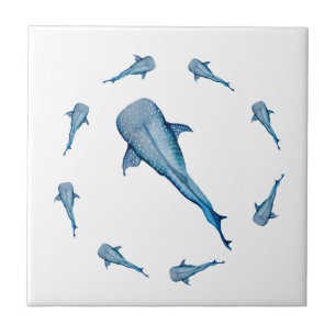 Tubarão-baleia-aquarela