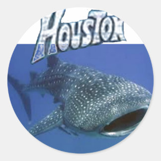 Tubarão-baleia com nome de criança nos adesivos