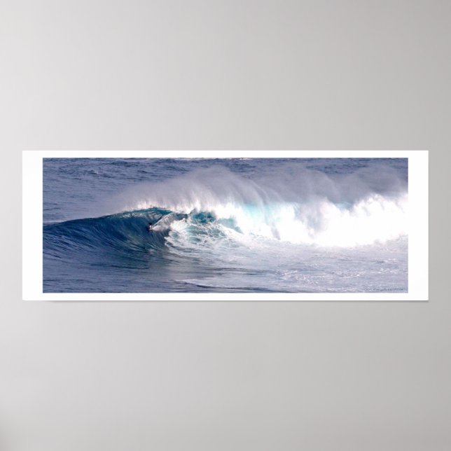 Tubarão com G.M. Waterman - Poster (Frente)