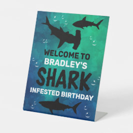 Tubarão Intestado Qualquer De Boas-Vindas De 