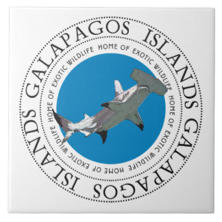 Tubarão-martelo das Ilhas Galápagos
