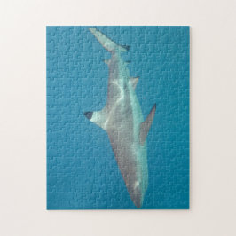 Tubarão que nada o quebra-cabeça subaquático