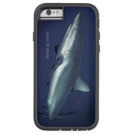 Tubarão-recife-cinza na Micronésia Yap