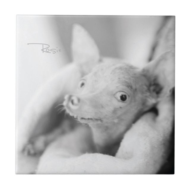 Tudo azulejo de Rosie (Frente)