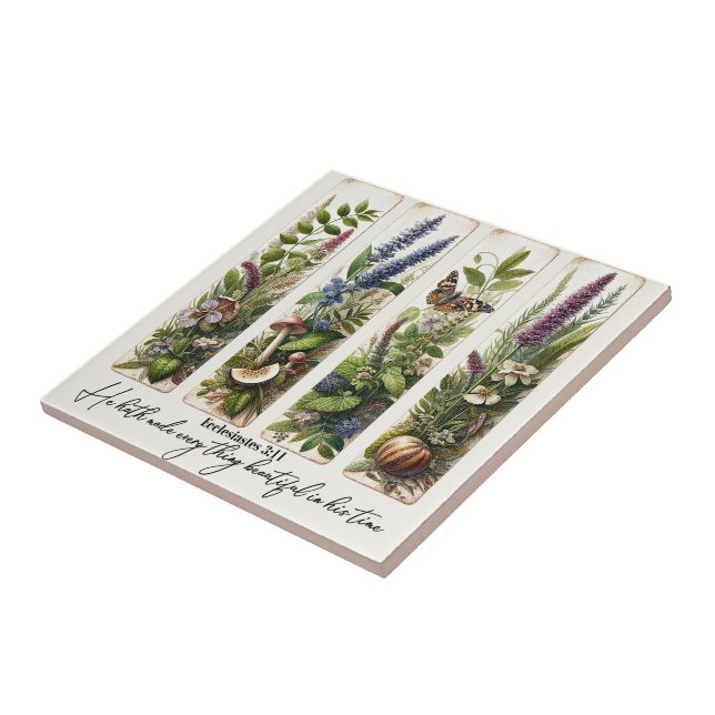 Tudo bonito em seu tempo botânico (Lateral)