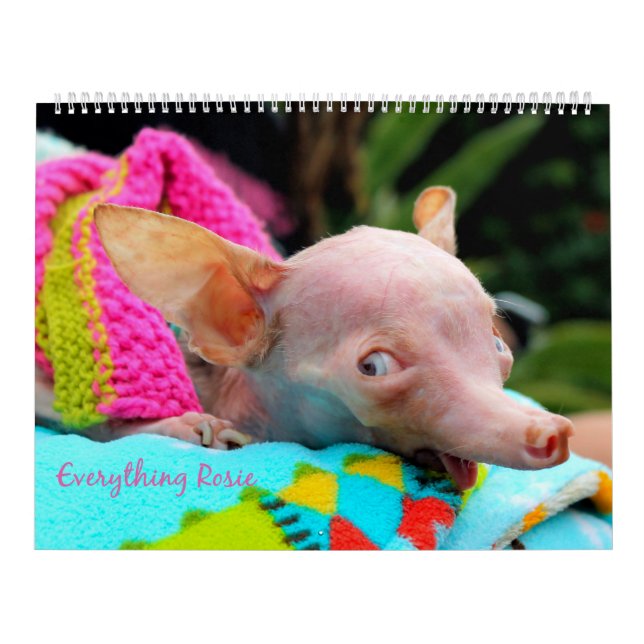 Tudo calendário de Rosie (Capa)