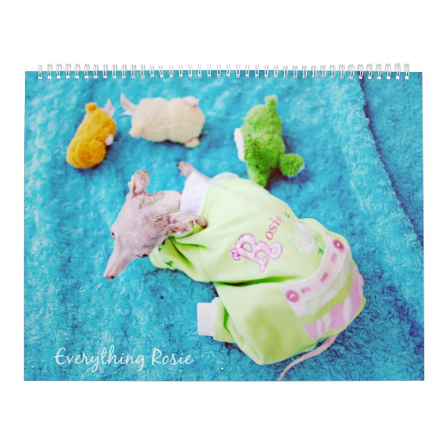 Tudo calendário de Rosie (Capa)