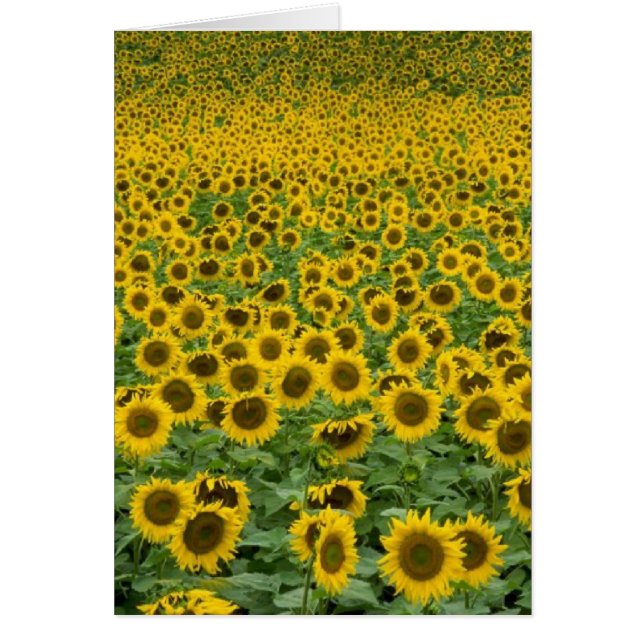 "Tudo está indo ser todo o" cartão direito (Frente)