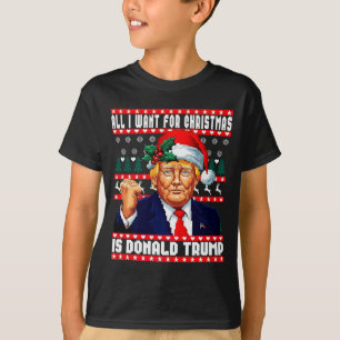 Tudo O Que Eu Quero No Natal É Donald Trump Suéter