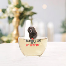 Tudo o que preciso é amor e meu Boykin Spaniel 