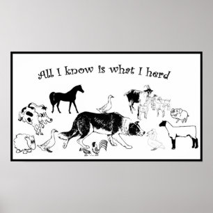 Tudo que eu sei é que impressão do Collie do