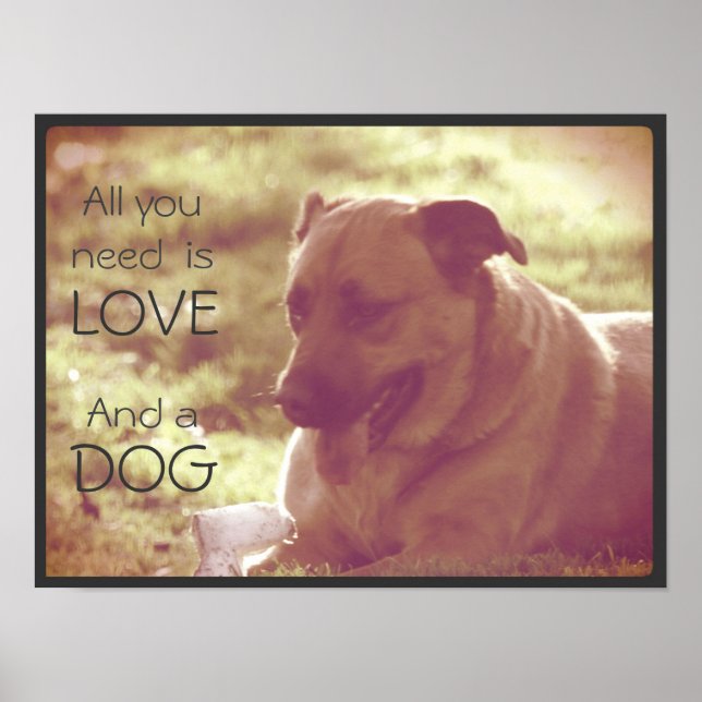 Tudo que você precisa é amor e Poster de cachorro (Frente)