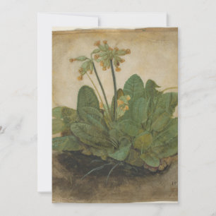 Tuft de Cowslips por Albrecht Durer