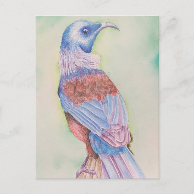 Tui - cartão postal (Frente)