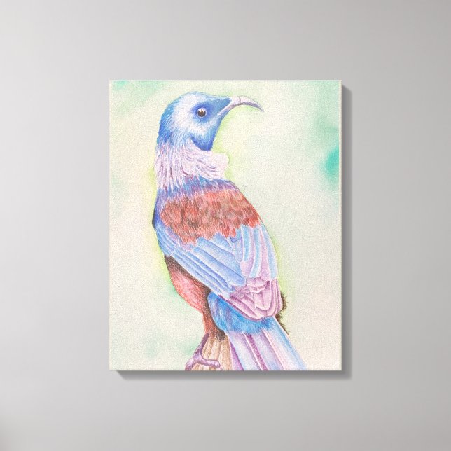 Tui Stretched Canvas Print (Frente)