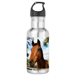 Tule O Cavalo, Garrafa De Água