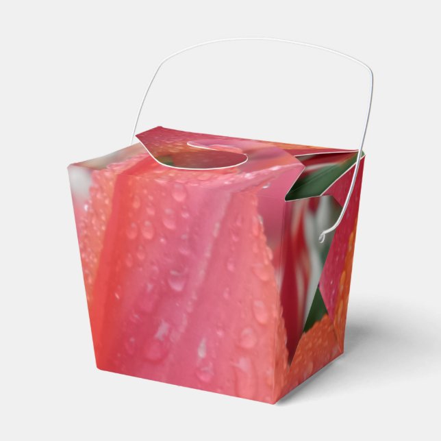 Tulip Água Cai Flor Tira a Caixa de Favoritos (Frente)