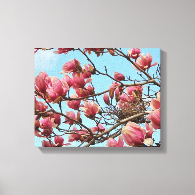Tulip Magnolia com Birdsnest na Canvas (Frente)